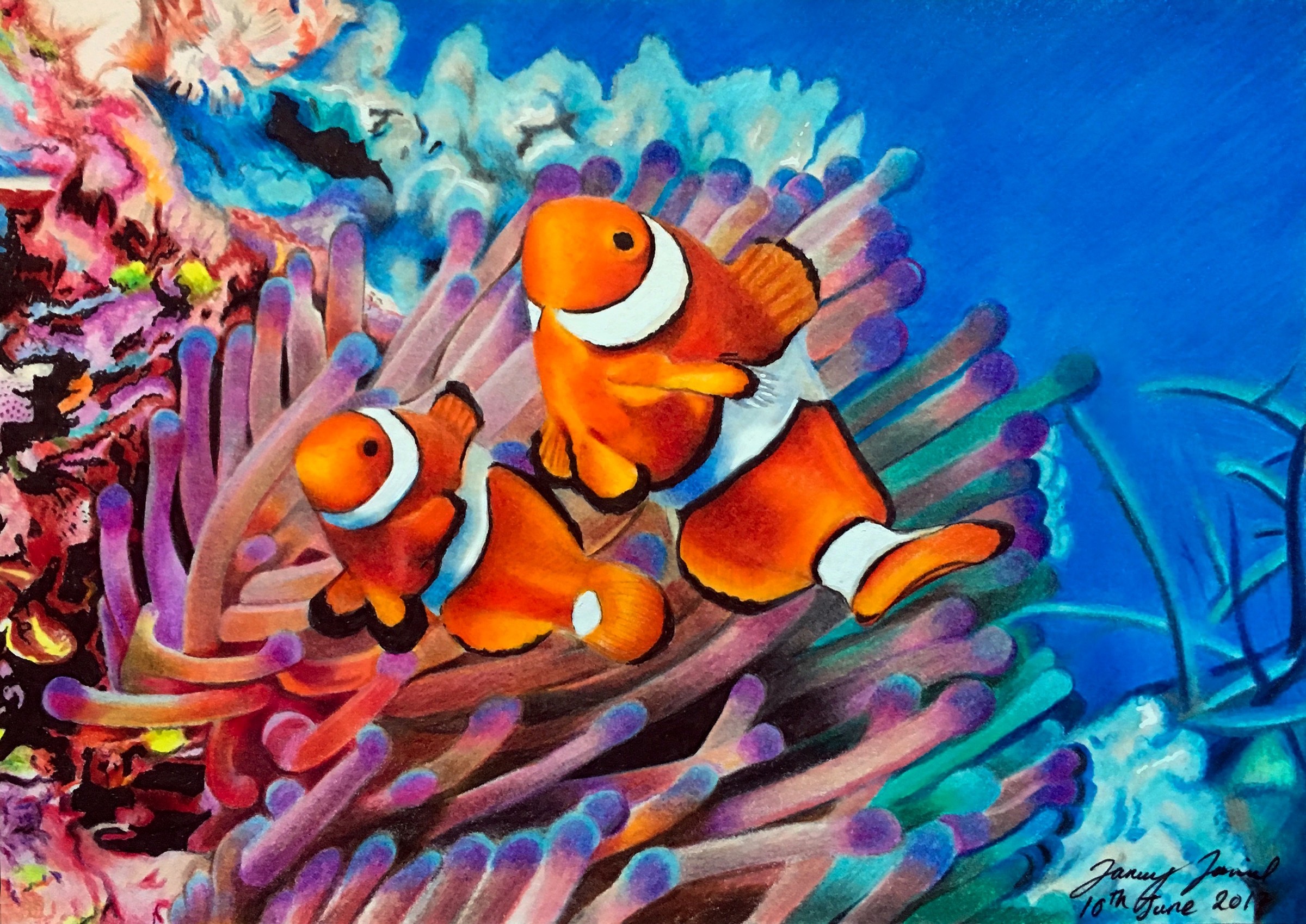 Clownfish, hand-drawn original art by Danny Daniel (Fine Art)